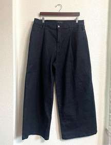 Banana Republic Womens Jeans Denim Dark Blue Wide Leg Pleated Cotton Bl Size 16
