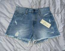 Joyce High Rise Denim Shorts