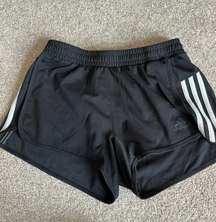 Exercise Shorts