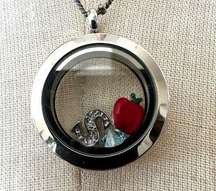 Origami Owl silver tone  apple S locket necklace