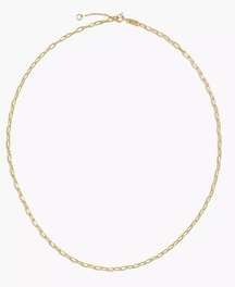 New Delicate Collection Demi-Fine Paperclip Chain