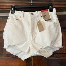 501 Shorts