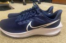 Air Zoom Pegasus 38 Running Shoes