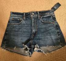 Abercrombie & Fitch Jean Shorts