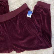 NWT Velour Joggers