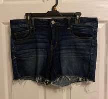 Outfitters Jean Shorts