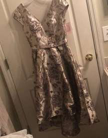 Oleg Cassini NWT Champagne Rose Formal Dress