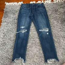 American Eagle Highest Rise Girlfriend Distressed Jeans size 12 Long