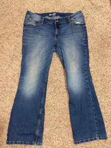 Bootcut Trouser Jeans