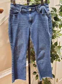 J.Jill Denim Women's Blue Cotton High Rise Zippered Ankle Jeans Pant Size 10