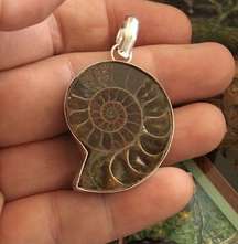 Ammonite Fossil Silver Pendant