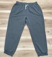 Shein Curve Grey Sweatpants Women’s 3XL