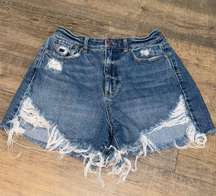 Outfitters Jean Shorts