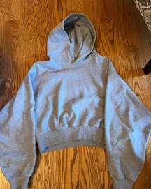 Aritzia Tna Cropped Hoodie