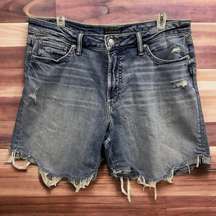 Silver Jeans Denim Long Fit High Rise Fray Hem Distressed Blue Jean Shorts 31