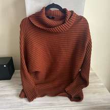 Knit Turtleneck Sweater