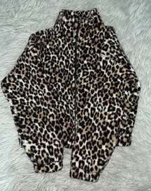 Cheetah Bomber