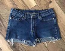 Polo Ralph Lauren Raw Hem Denim Jean Shorts 7