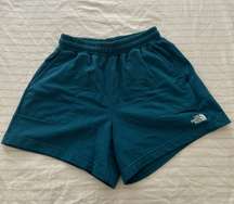 North Face Fleece Shorts 