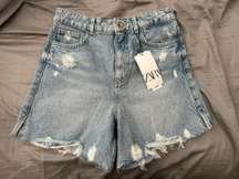 High Waisted Bermuda Shorts