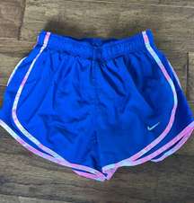 Dri-Fit Shorts