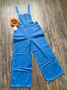 NWT  Denim Overalls | LARGE |