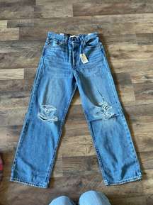 Ribcage Straight Ankle Jeans