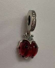 Red Ladybird Dangle Charm