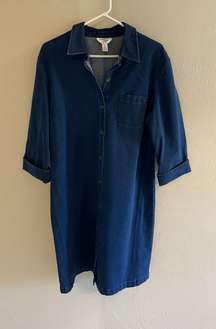 Stretch Denim Dress