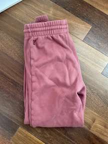 Aritzia Tna Joggers