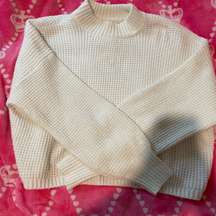 Hollister Cropped Sweater