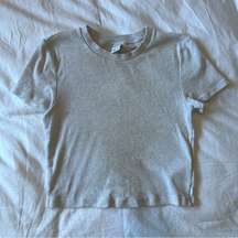 Aritzia TNA HomeStretch Crew Waist T-Shirt