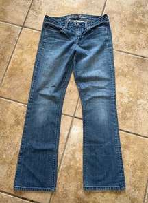 American Eagle True Boot Jeans Size 8