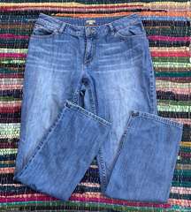 J. Jill Straight Leg Blue Jeans Size 8