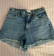 Cutoff Denim Shorts