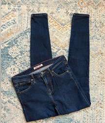 [Johnny Was] Dark Wash Skinny Jeans- Size 25