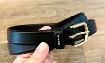 Black Brown Leather Belt with Gold-toned Hardware, Size Medium