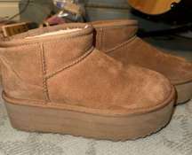 PLATFORM CHESTNUT UGGS