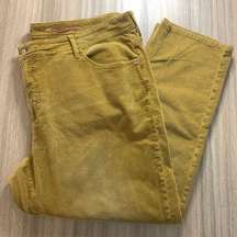 Pilcro Tan Corduroy Slim Boyfriend Crop Pants - Size 22W