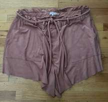 Good American Shorts Size 4X