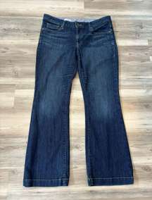 Size 10/30 Long and lean Trouser Flare Jeans