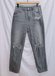 AE Gray Wash Denim High Waisted Mom Jean size 10