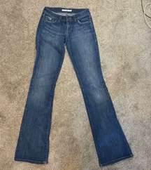“Muse” Stretch Flared Jeans Size 25