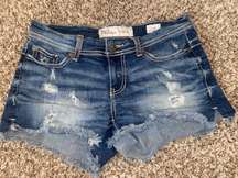 Buckle  Denim Shorts