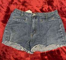 Vintage Jean Shorts 