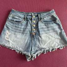 Vintage Denim Mom Shorts