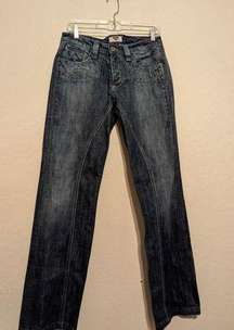 Antik Denim Jeans Womens Size 29 Distressed Embroidered Designs Bootcut Blue