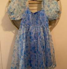 Blue Organza dress