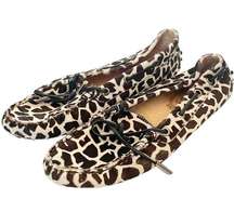 Tod’s Size 38/7.5 Pony Hair Leather Slip on Driving Loafers Animal Print