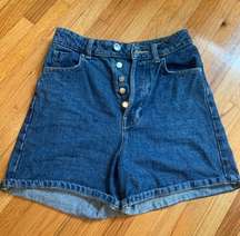 High Rise Shorts